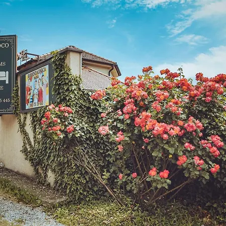 Bed & Breakfast Rococo Belgrade